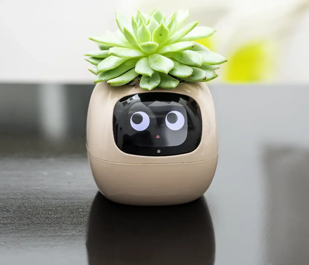 El macetero inteligente Ivy Smart Planter en color rosa, con una planta suculenta, mostrando una de sus caras animadas en la pantalla. La foto está tomada sobre una superficie de estudio oscura.