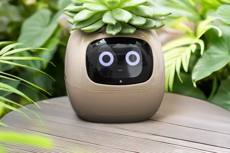 Ivy Smart Planter análisis y opinión: el macetero inteligente estilo Tamagotchi
