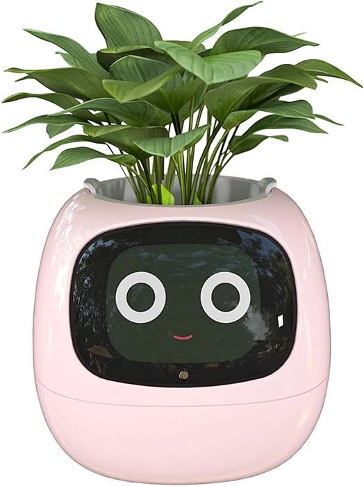 Ivy Smart Planter, macetero inteligente estilo Tamagotchi