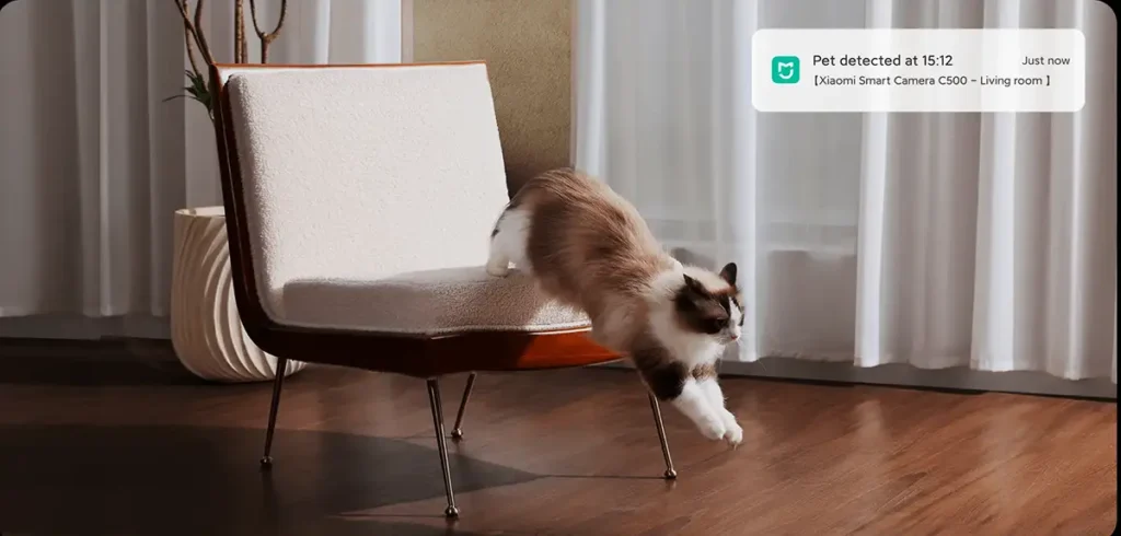 Demostración de la función de detección de mascotas de la Xiaomi Smart Camera C500. Un gato salta de un sillón en el salón, y la cámara envía una notificación instantánea al móvil que dice 'Pet detected at 15:12', mostrando la eficacia de su IA para la vigilancia del hogar