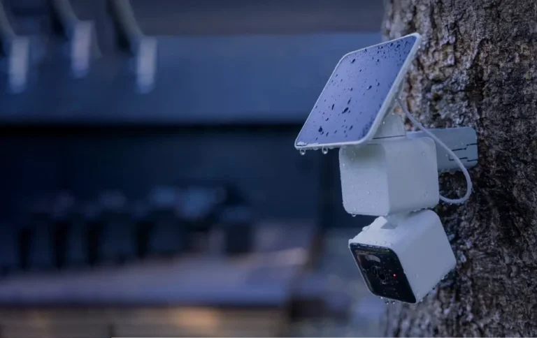 Imagen de portada que muestra cómo la Wyze Solar Cam Pan resuelve el problema de la vigilancia en zonas sin enchufes. La cámara de seguridad con paneo/tilt y panel solar está instalada en un árbol y soporta la lluvia, ofreciendo una solución de seguridad flexible y autónoma para jardines o patios