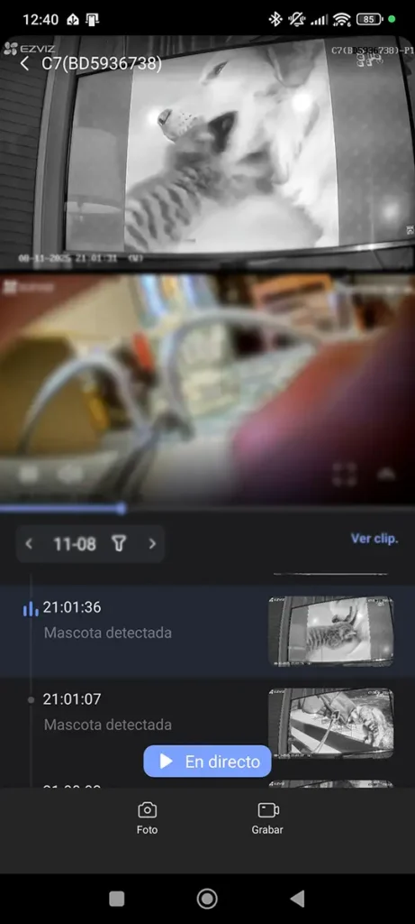 Cómo la cámara Ezviz C7 Dual notifica la detección de animales: la app muestra un evento de 'Mascota detectada' con una miniatura del vídeo grabado.
