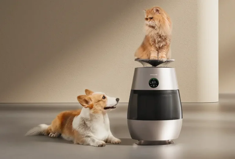 Un gato persa sentado sobre el purificador de aire Dreame AP10 mientras un perro corgi lo mira desde el suelo, destacando su diseño específico para hogares con mascotas.
