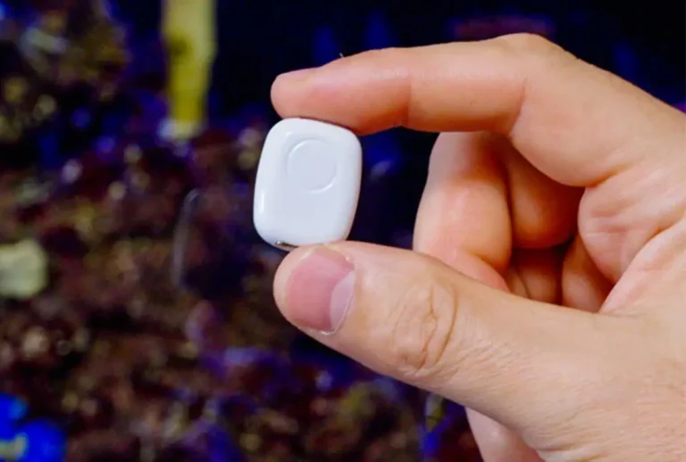 “Imagen oficial de Shelly: The Pill es un módulo ultracompacto alimentado por USB-C para monitorizar sensores y controlar periféricos de bajo voltaje