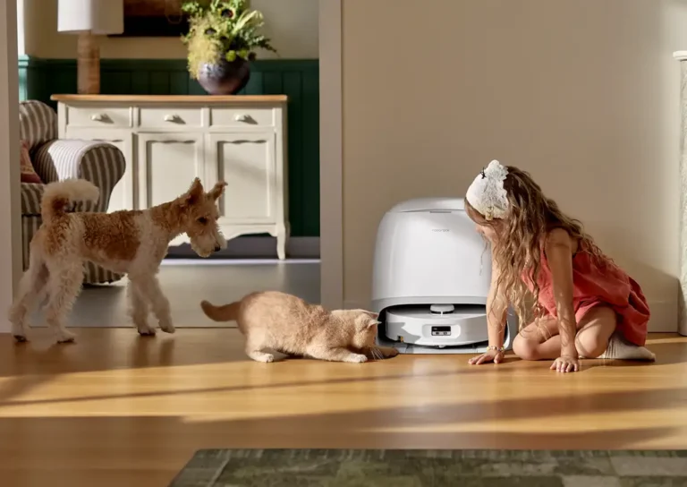 Robot aspirador Roborock Qrevo Curv 2 Flow saliendo de su base mientras una niña, un perro y un gato lo observan en el salón de casa.