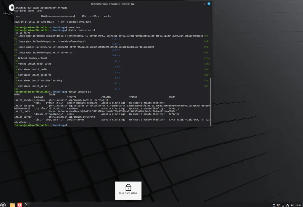 Terminal mostrando los contenedores de Immich levantados y en estado healthy tras ejecutar docker compose up